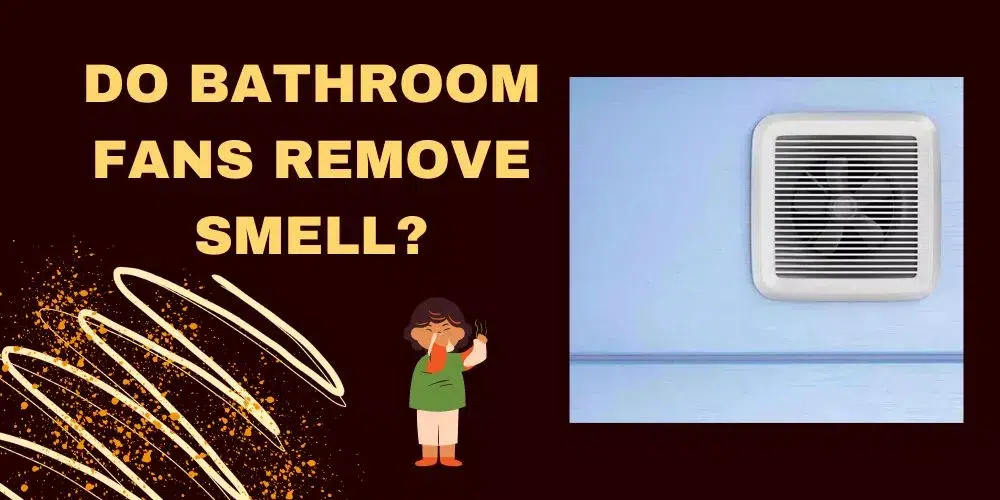 Do bathroom fans remove smell