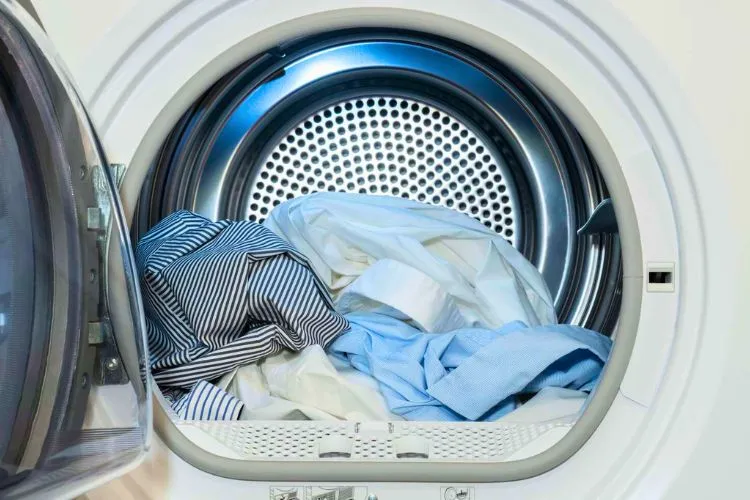 How long can you leave damp clothes in the dryer