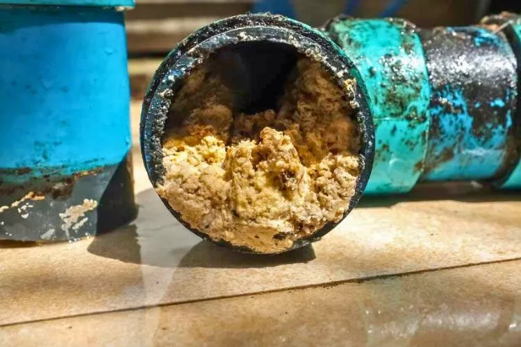 How to prevent grease build up in pipes