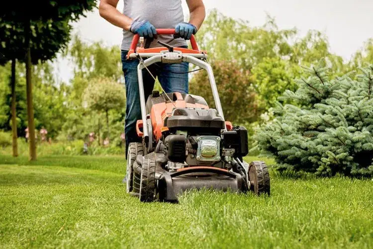 Maintain Short Lawn and Distance Compost from Your Garage