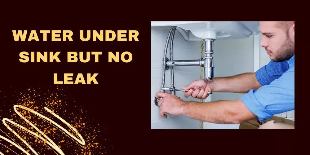 Water under sink but no leak