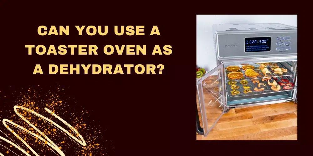 Can You Use a Toaster Oven as a Dehydrator