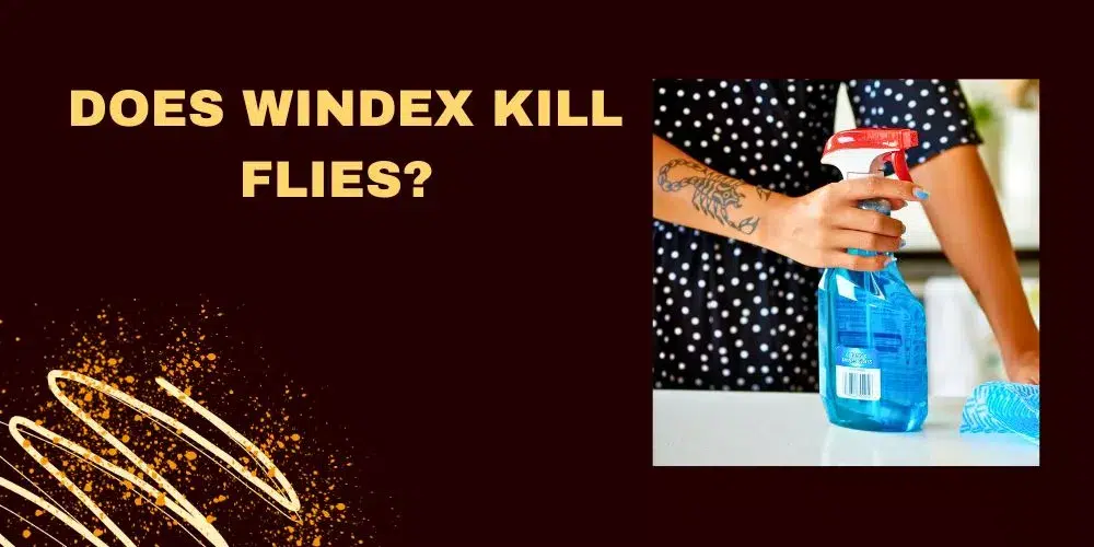 Does Windex kill flies