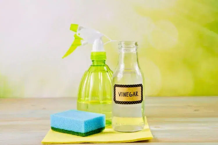 Vinegar and Water Solution