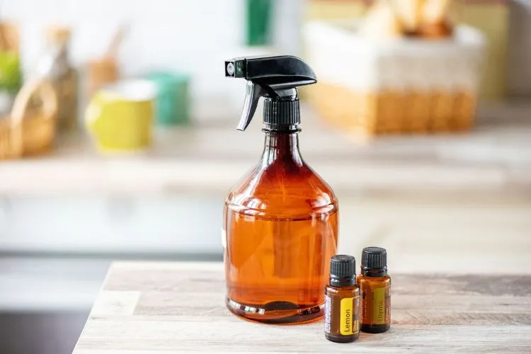 What is the Best Homemade Fly Spray