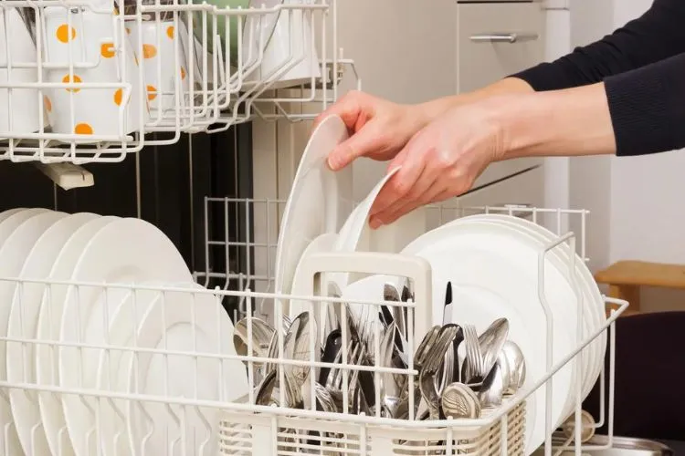Can silicone go in the dishwasher bottom rack