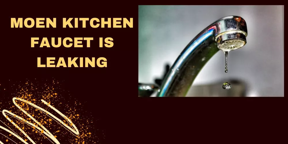 Moen kitchen faucet is leaking
