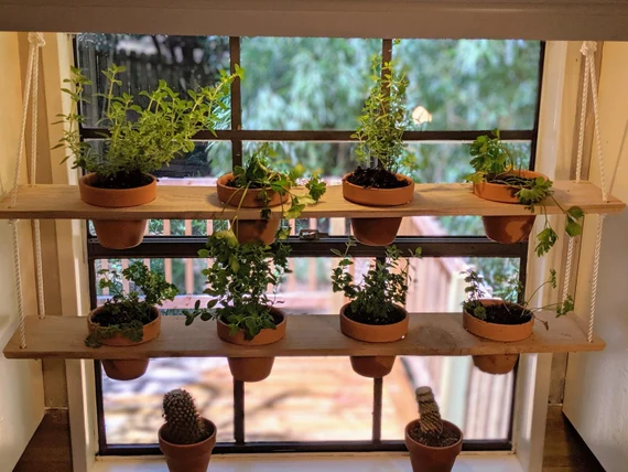  Window Planters