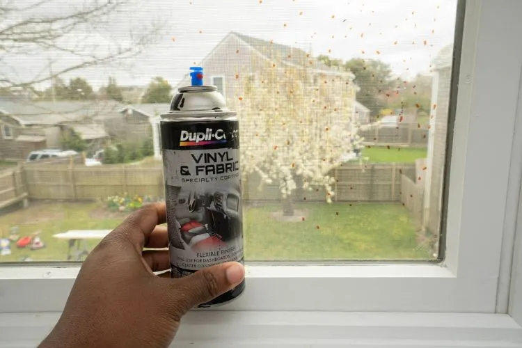 What is the best thing to remove paint from glass