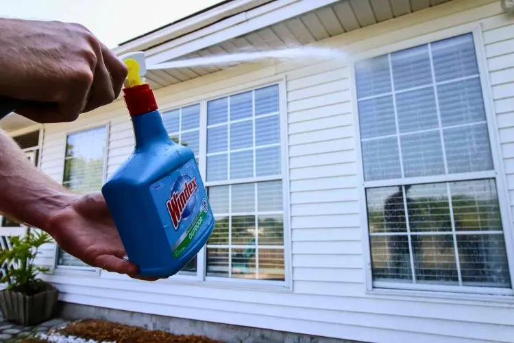 Best hose spray window cleaner