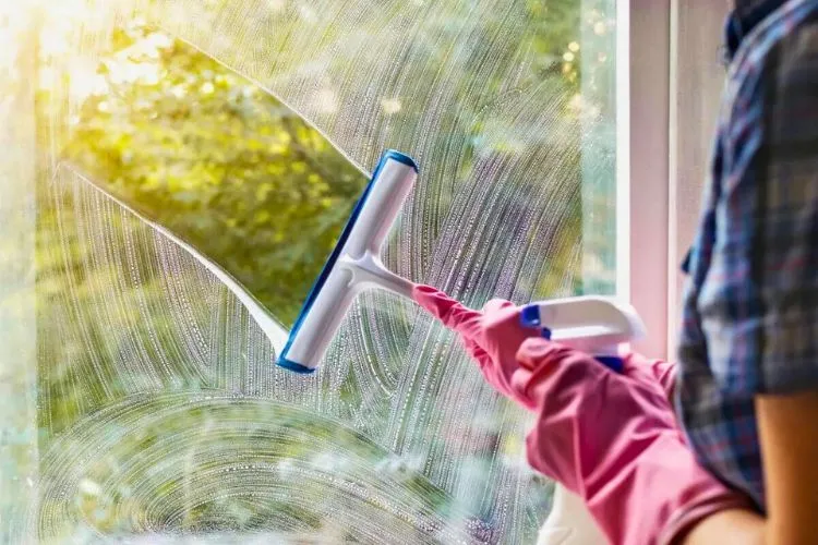 Window Squeegee Buying Guide