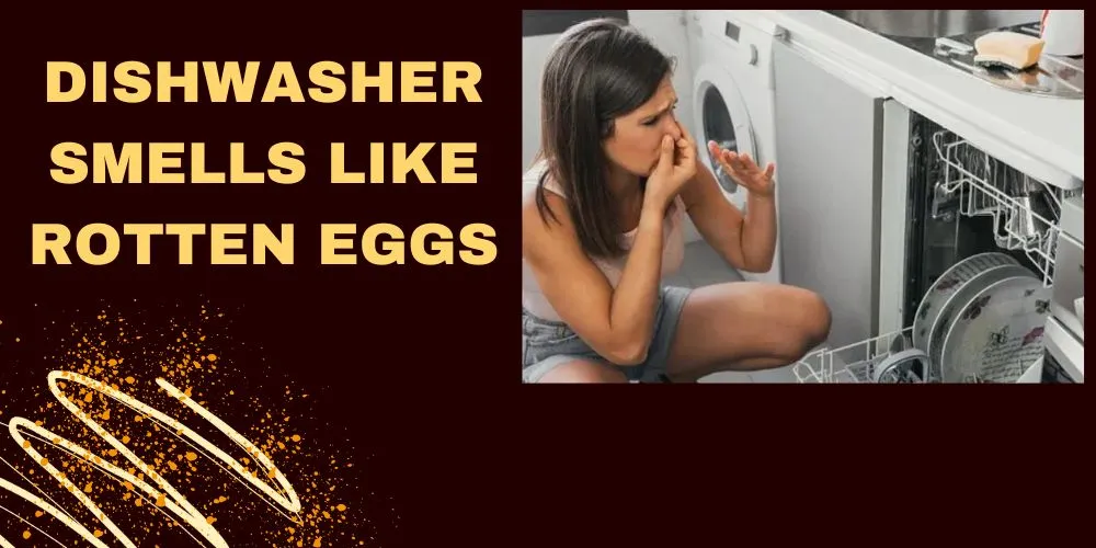 Dishwasher Smells Like Rotten Eggs