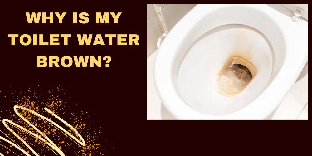 Why Is My Toilet Water Brown