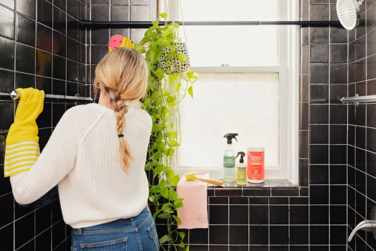 Expert Recommendations for a Mold-Free Bathroom