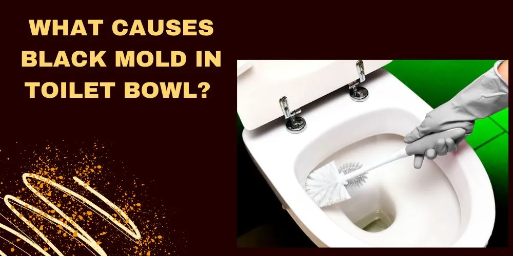 What Causes Black Mold In Toilet Bowl