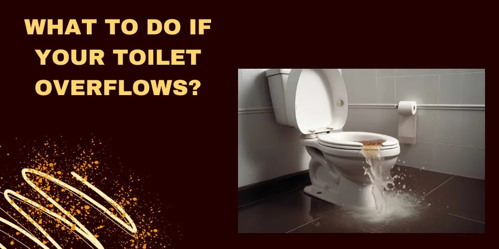 What To Do If Your Toilet Overflows